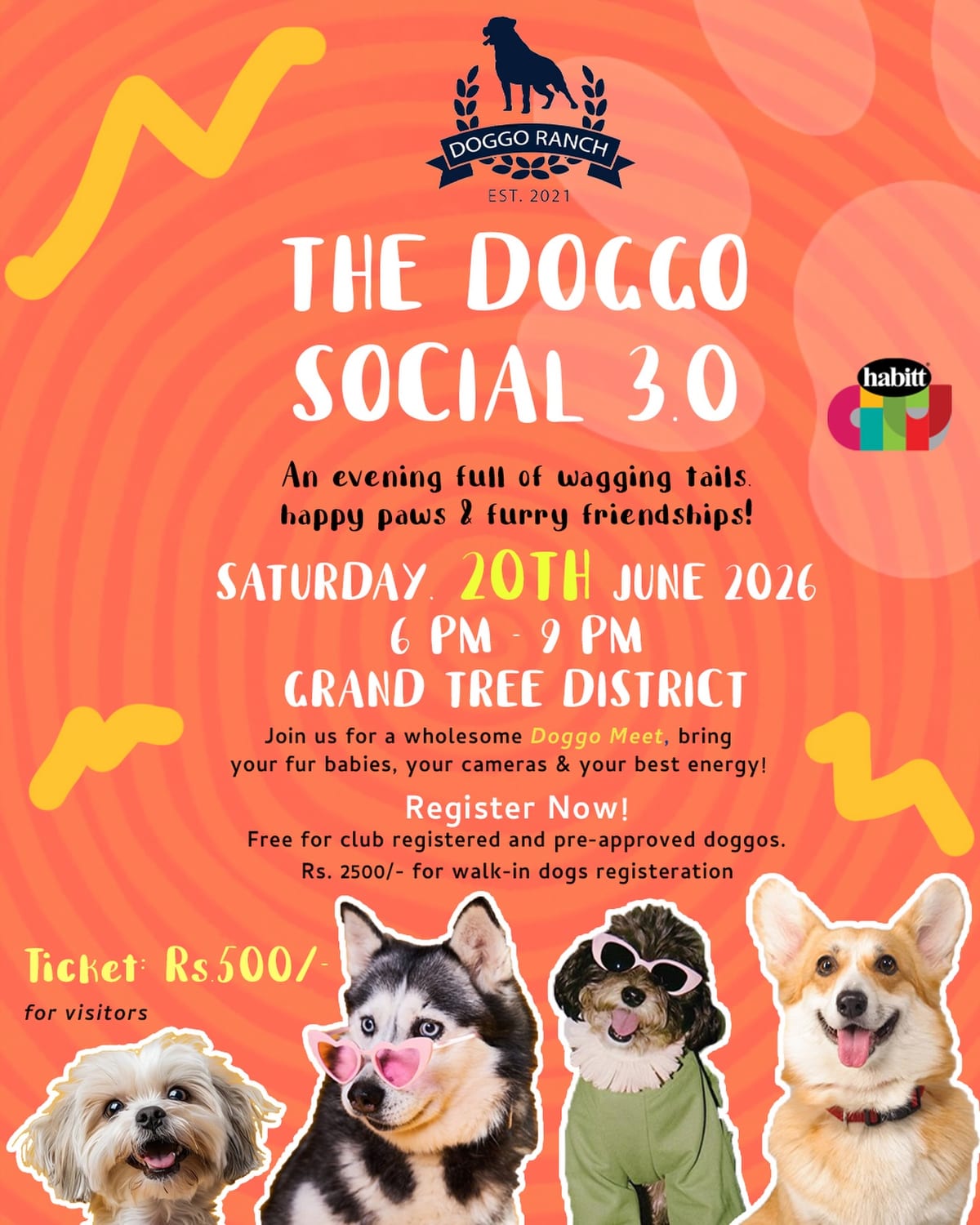 The Doggo Social 3.0